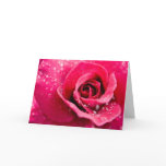 Dew Drops on Rose Greeting Card