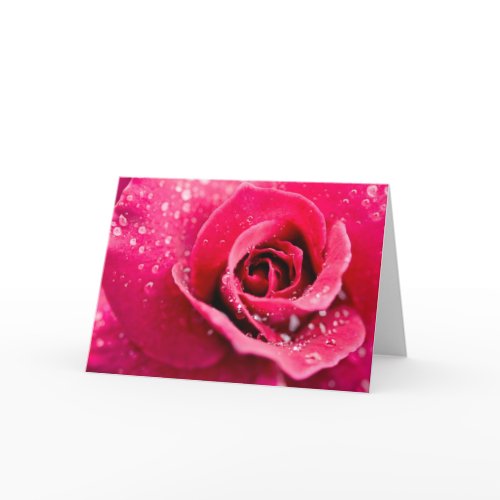 Dew Drops on Rose Greeting Card