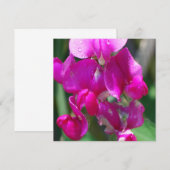 Dew Drops on Sweet Pea (Front/Back)