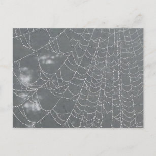 Dew Drops Spider Web DIY Postcard
