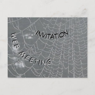 Dew Drops Spider Web Invitation Postcard