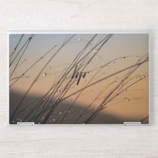 Dew HP Laptop Skin (Front)