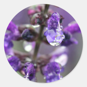 "Dew Join Us" Purple Flower Photo Classic Round Sticker