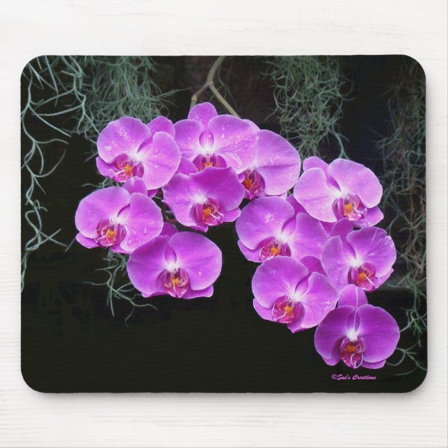Dew-Kissed Orchids Mouse Pad (Front)