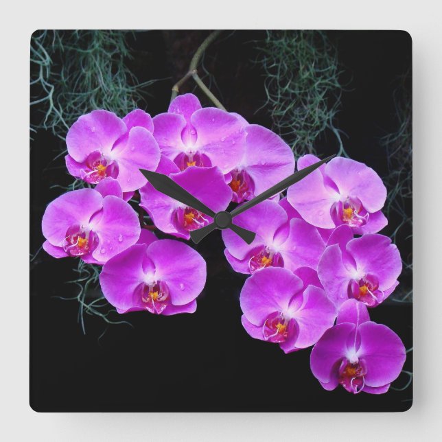 Dew-Kissed Orchids Wall Clock (Front)