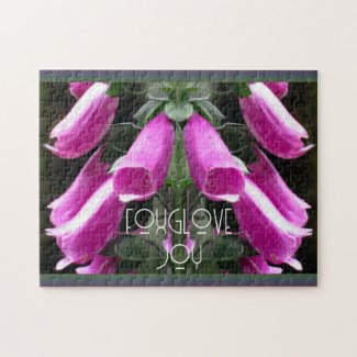 Dew Kissed Pink Foxgloves Blooms