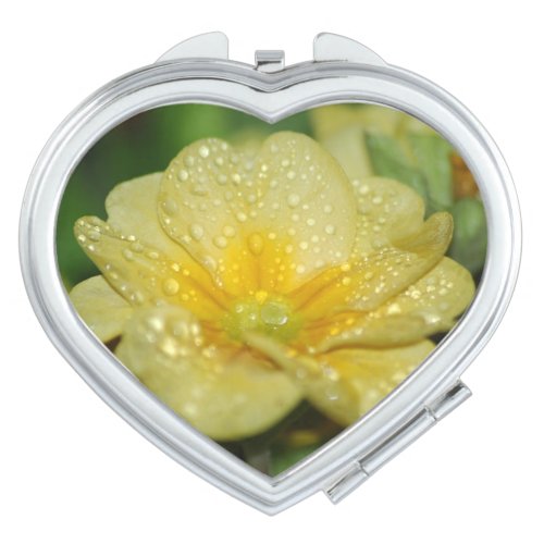 Dew on a Primrose Makeup Mirror