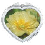 Dew on a Primrose Makeup Mirror
