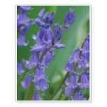 Dew on Bell Flowers Temporary Tattoos