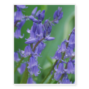 Dew on Bell Flowers Temporary Tattoos