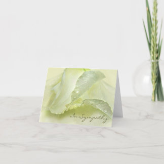 Dew on Ivory Petals Sympathy Condolence Card