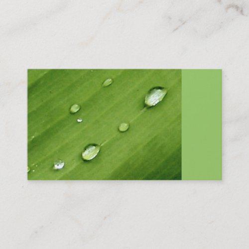 Dew on Leaf Nature Business Cards