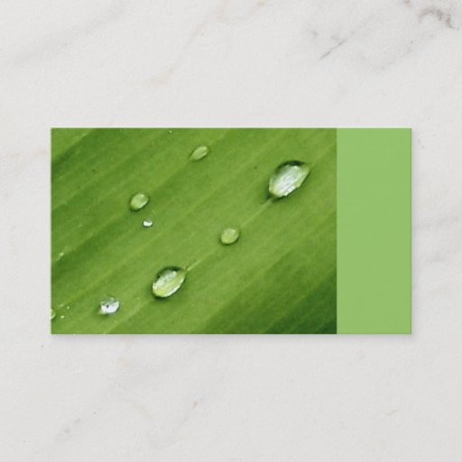 Customizable Dew on Leaf Nature Business Cards