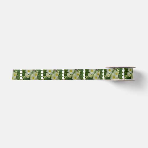 Dew on White and Yellow Primrose Satin Ribbon