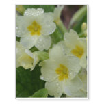 Dew on White and Yellow Primrose Temporary Tattoos