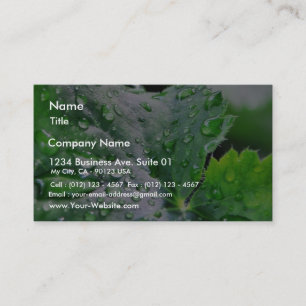 Dew Water Droplets Drops Business Card