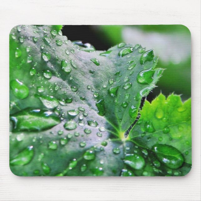 Dew Water Droplets Drops Mouse Pad (Front)