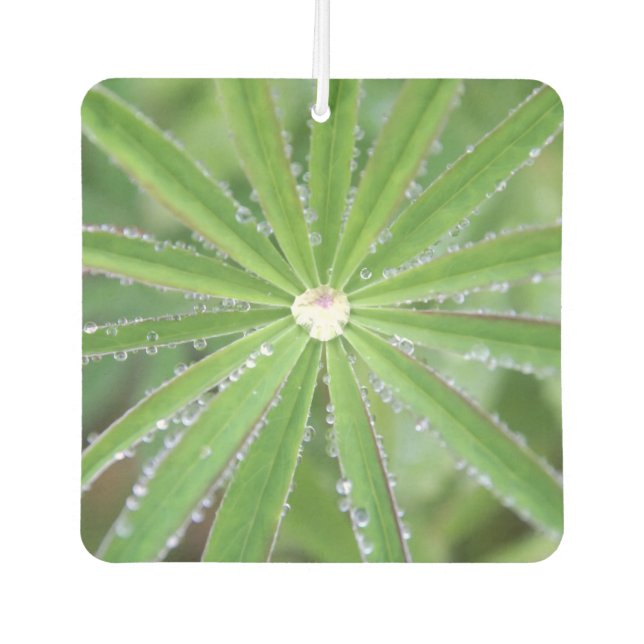 Dewdrop Air Freshener (Front)