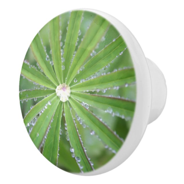 Dewdrop Ceramic Knob (Right)