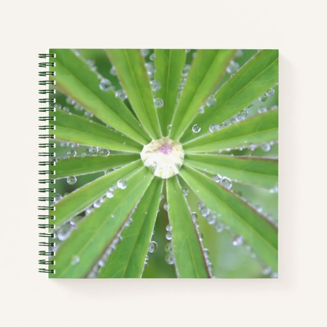 Dewdrop Notebook (Front)