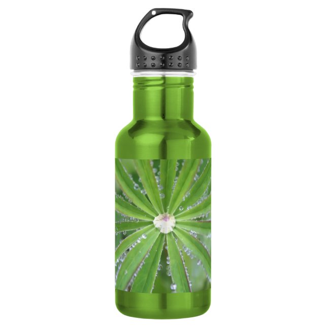 Dewdrop Stainless Steel Water Bottle (Front)
