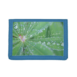 Dewdrop Trifold Wallet