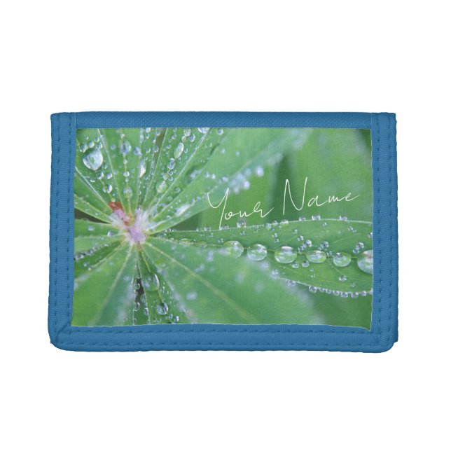 Dewdrop Trifold Wallet (Front)
