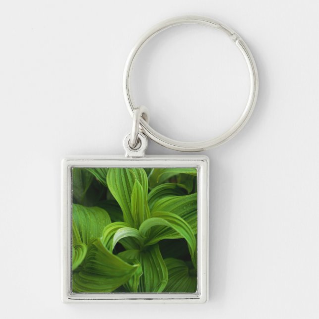 Dewdrops on a False Helabore Keychain (Front)