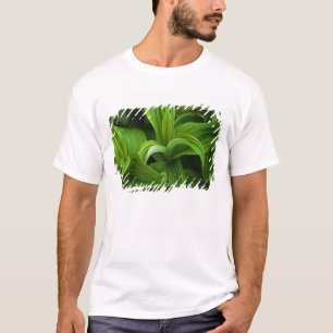 Dewdrops on a False Helabore T-Shirt