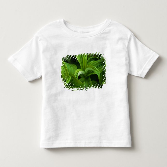 Dewdrops on a False Helabore Toddler T-shirt (Front)