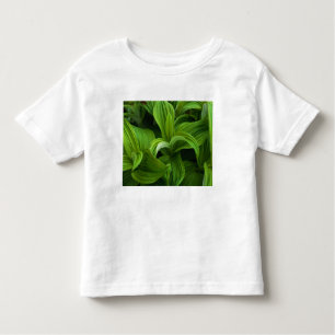 Dewdrops on a False Helabore Toddler T-shirt