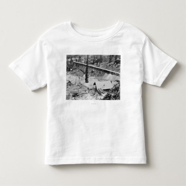 Dewey Gold Mine on Thunder Mountain, Idaho Toddler T-shirt (Front)