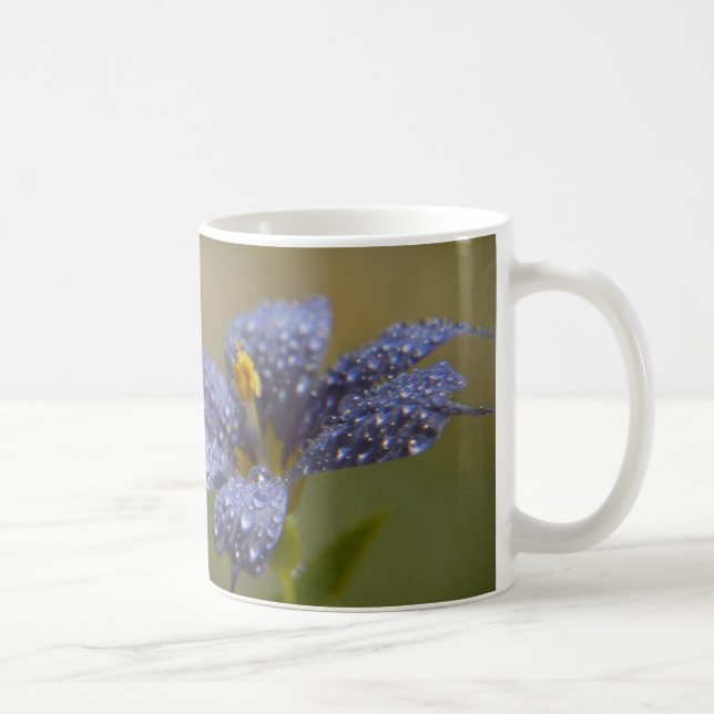Dewy Blue-Eyed Coffee Mug (Right)