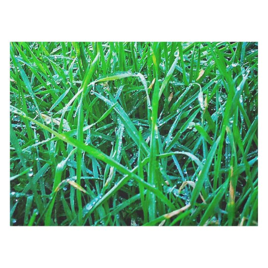 Dewy Grass Tablecloth Zazzle Com