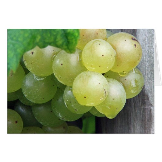 Dewy Green Grapes Cards (Front Horizontal)