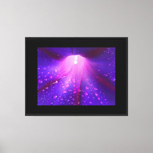 Dewy Morning Glory Canvas Print