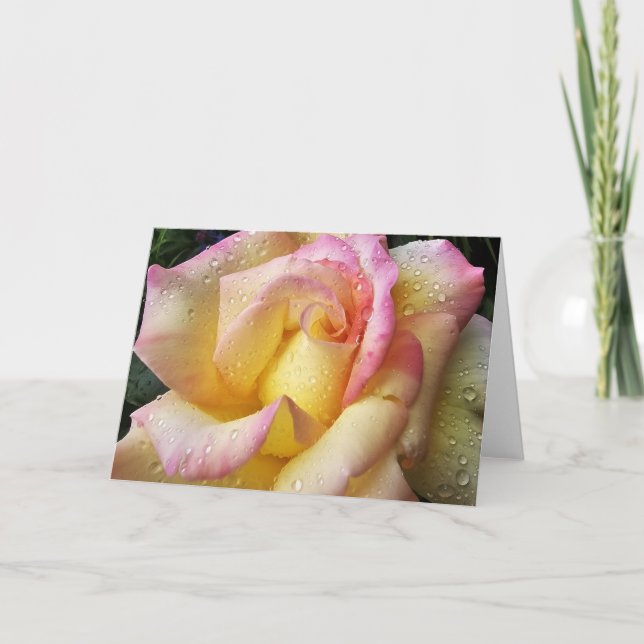 dewy rose card (Front)
