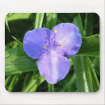 Dewy Trillium Spring Wildflower Mouse Pad