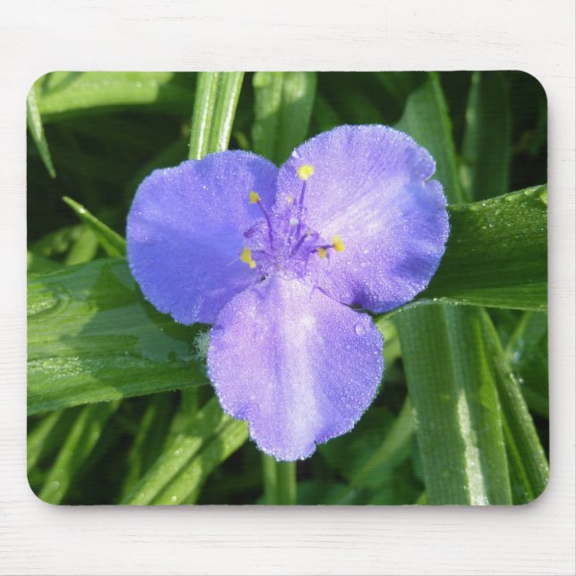 Dewy Trillium Spring Wildflower Mouse Pad (Front)