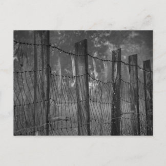 Dewy Webs on Barbed Wire Postcard
