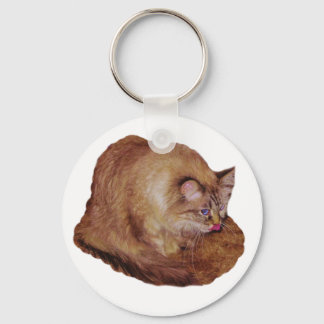 Dezi's Kitty Raspberry keychain