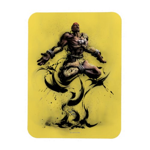 Dhalsim Floating Magnet