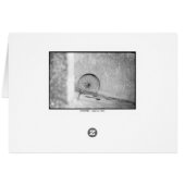 DHARMA (Back Horizontal)