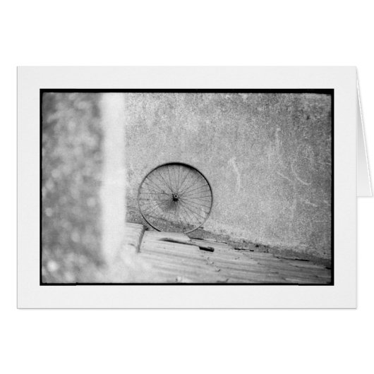 DHARMA (Front Horizontal)