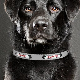Diabetic Dog Alert Black Dog Silhouettes Gray Red Pet Collar