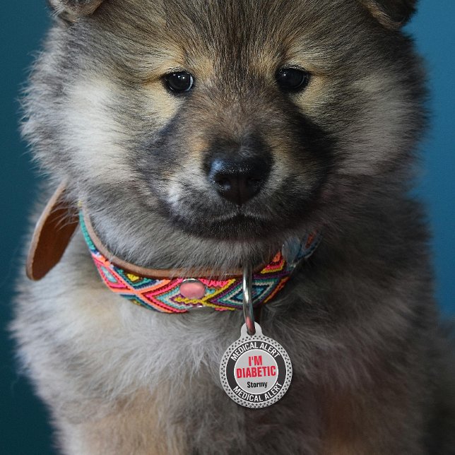 Diabetic Pet Medical Alert Custom Name Gray Black  ID Tag (Creator Uploaded)