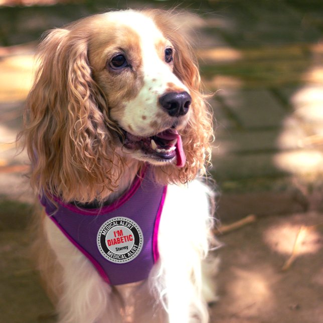 Diabetic Pet Medical Alert Custom Name Gray Black  Patch (Creator Uploaded)