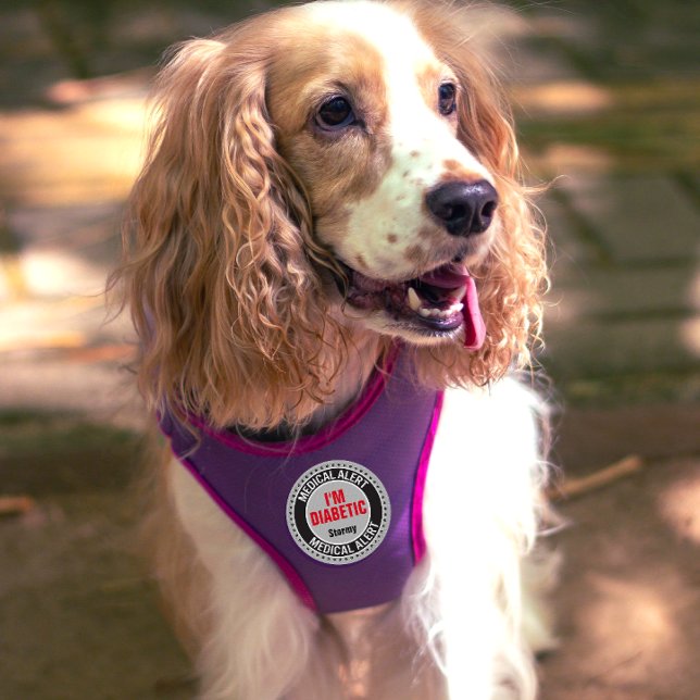 Diabetic Pet Medical Alert Custom Name Gray Black  Patch (Creator Uploaded)