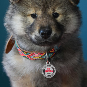 Diabetic Pet Medical Alert Custom Name Gray Black  Pet ID Tag