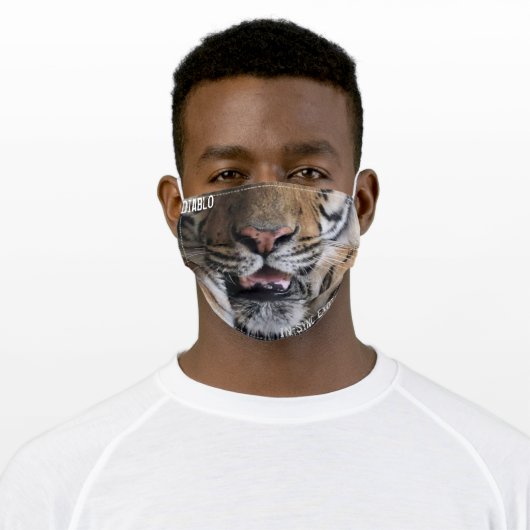 Diablo - Face Mask (Worn)